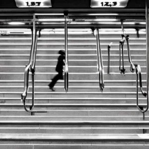 Artistic representation for These states will vote on abortion in 2024 . And , a mysterious ant takes over NYC's subway system.