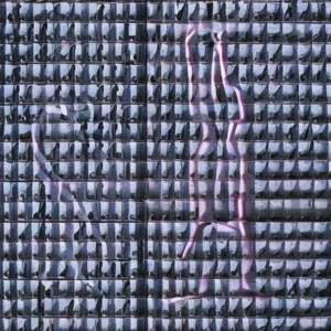 Artistic representation for These states will vote on abortion in 2024 . And , a mysterious ant takes over NYC