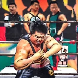 Artistic representation for No pain , no gain : chinese pro wrestlers fight for recognition