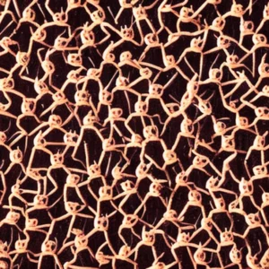 Artistic representation for These states will vote on abortion in 2024 . And , a mysterious ant takes over NYC.