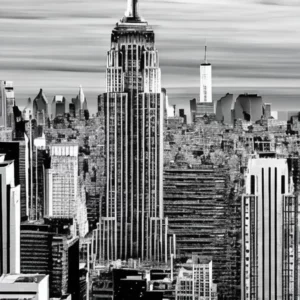 Artistic representation for These states will vote on abortion in 2024 . And , a mysterious ant takes over NYC.