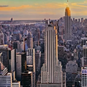 Artistic representation for These states will vote on abortion in 2024 . And , a mysterious ant takes over NYC. Please choose one of the following options: a. 202