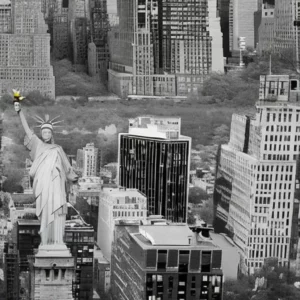 Artistic representation for These states will vote on abortion in 2024 . And , a mysterious ant takes over NYC's parks. Let me know if you have any other titles you'd like me to