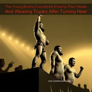 Artistic representation for The Young Bucks Considered Shaving Their Heads And Wearing Trunks After Turning Heel