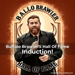 Artistic representation for Buffalo Brawler'S Hall Of Fame Induction!